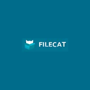 filecat premium logo